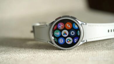 نسخه بتای One UI 6 Watch برای سامسونگ گلکسی واچ ۶ منتشر شد